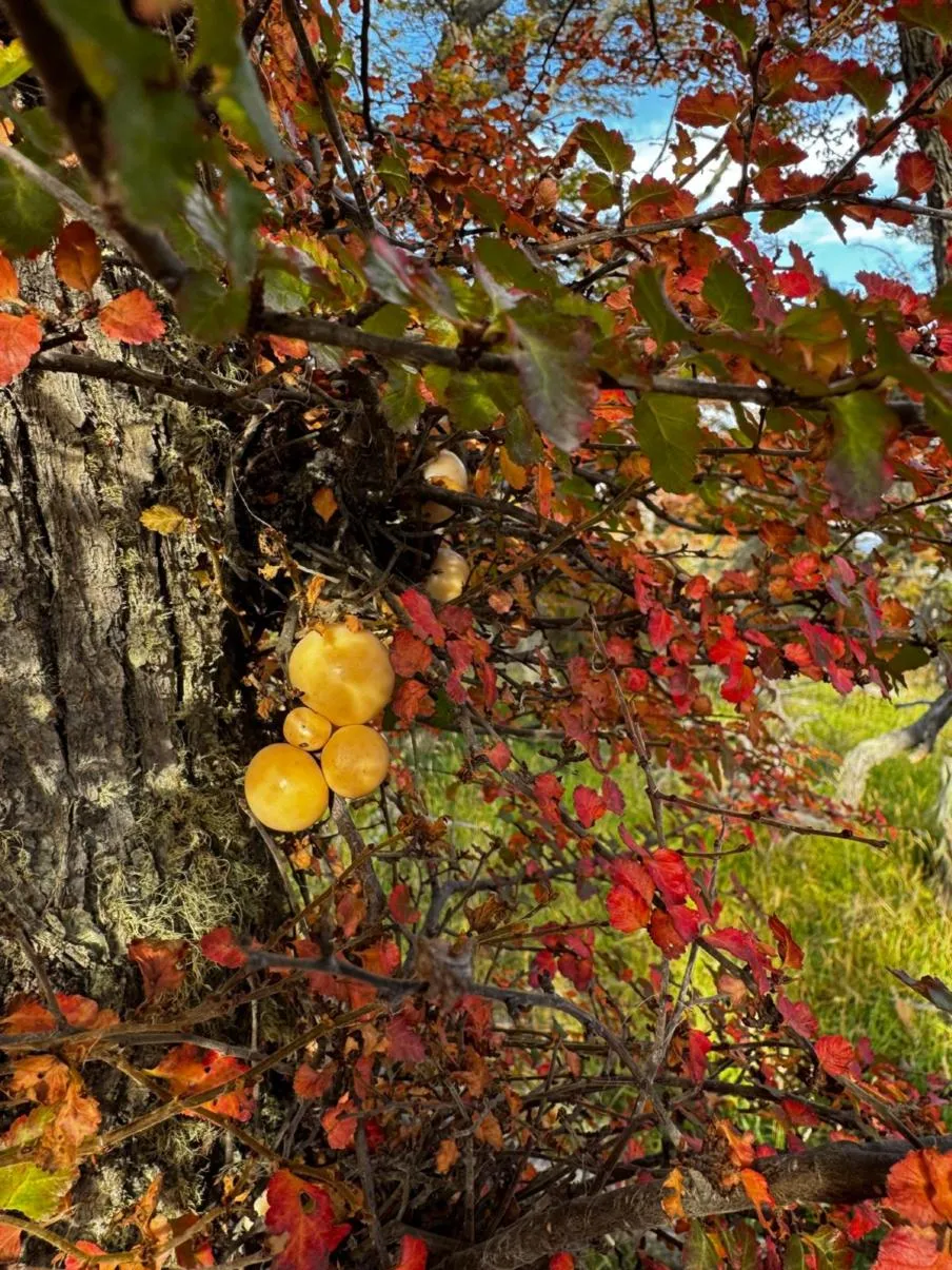 IMG-20250413-WA0013.webp