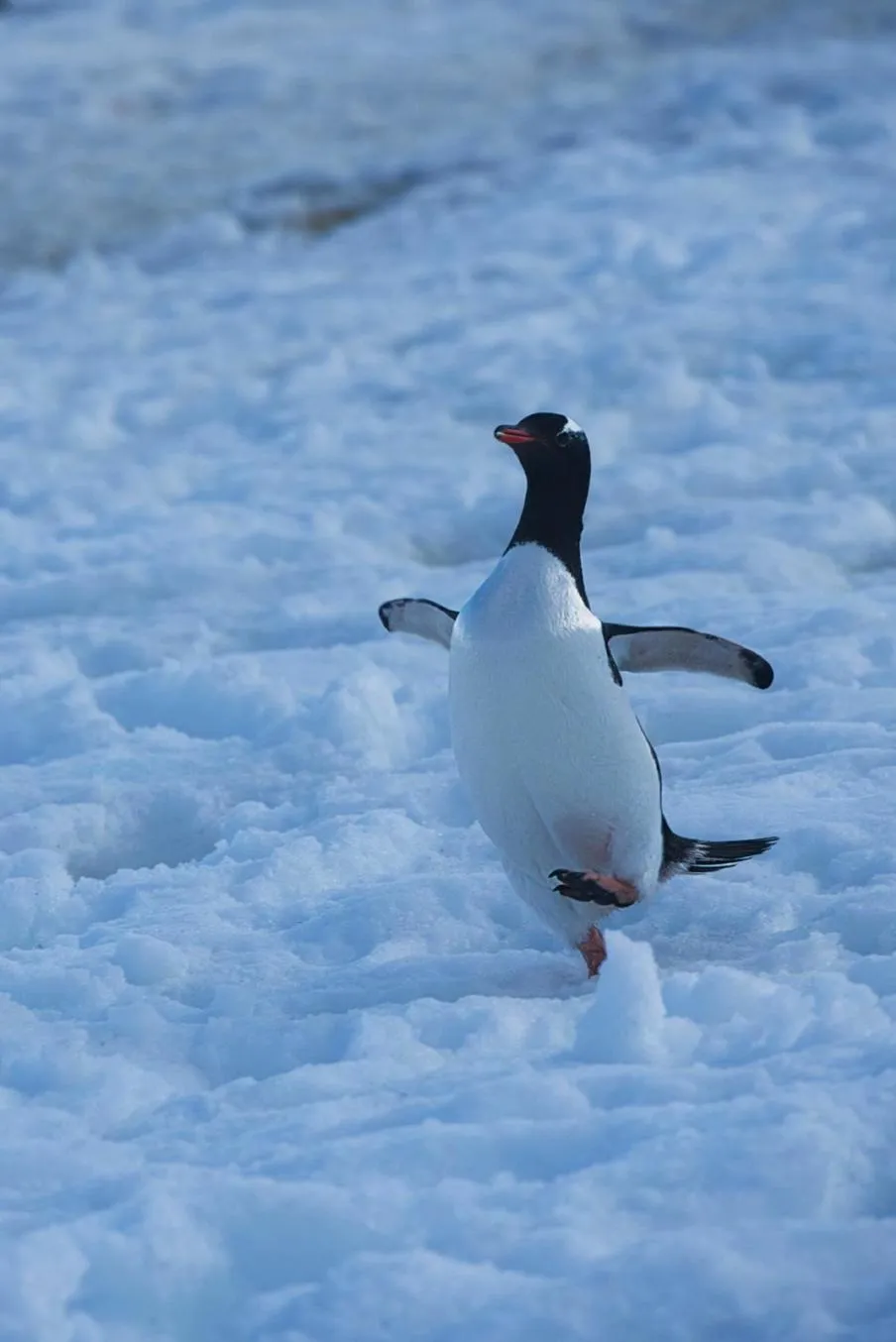 WhatsApp Image 2025-12-22 at 23.36.53p.webp